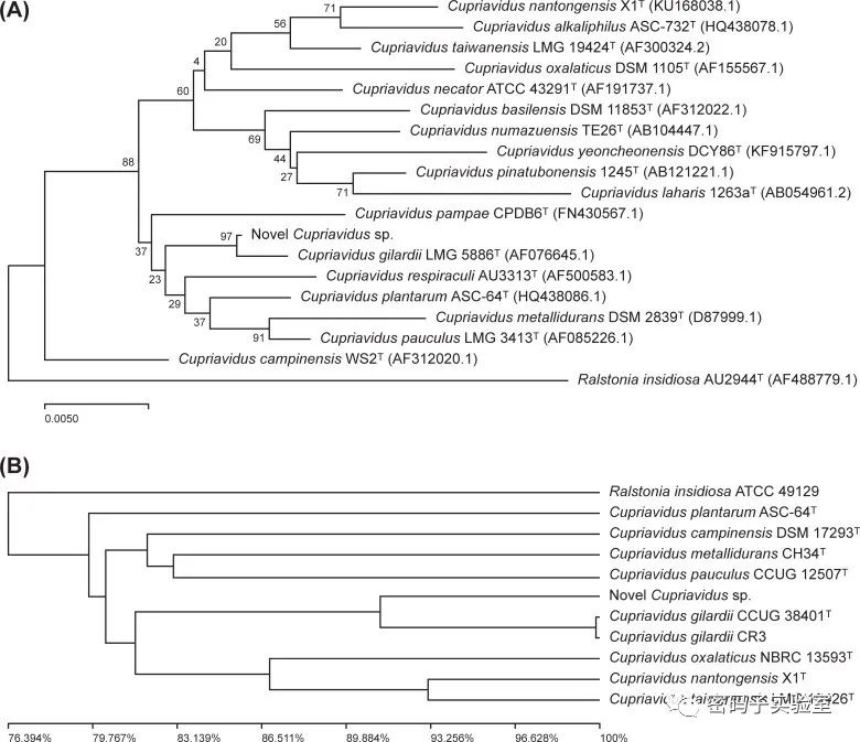 微生物基因组研究：新种鉴定、进化分型和比较分析(图4)