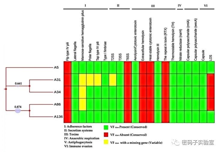 微生物基因组研究：新种鉴定、进化分型和比较分析(图7)