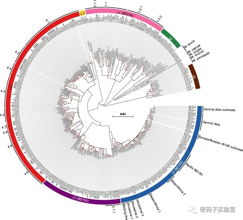 微生物基因组研究：新种鉴定、进化分型和比较分析(图9)