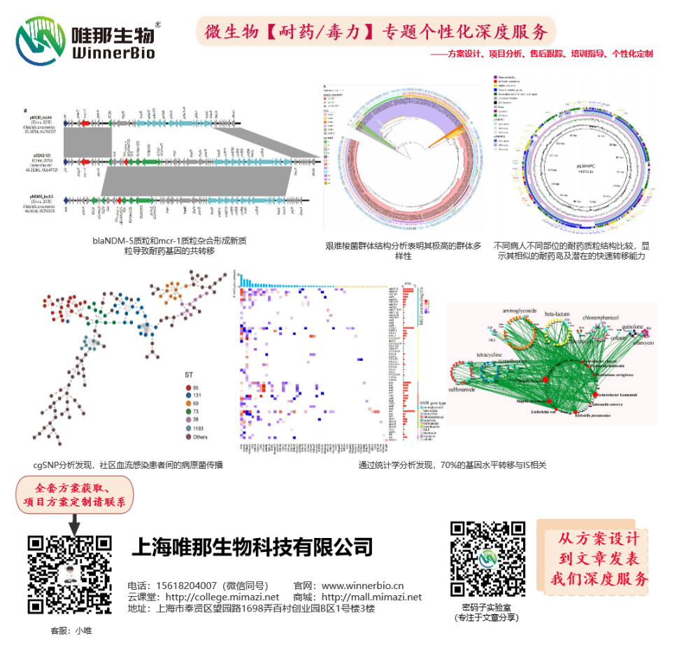 微生物基因组研究：新种鉴定、进化分型和比较分析(图12)