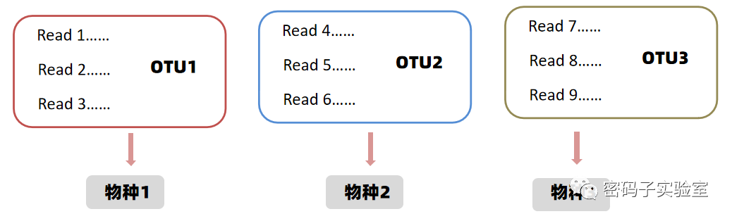 微生物多样性研究10步走(第一步)-OTU聚类与注释(图2) 图片