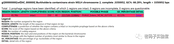 使用SnapGene viewer绘制比较基因簇结构图(图2) 图片