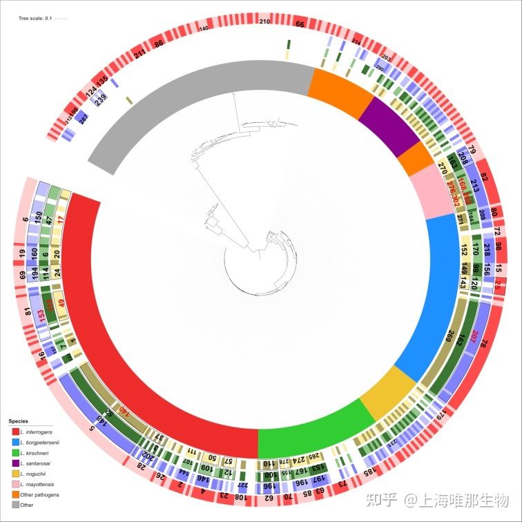 比较基因组学在细菌基因组中的应用(图4) 比较基因组学在细菌基因组中的应用(图4)