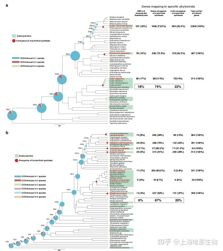 基因组测序在真菌基因组中的应用(图7)