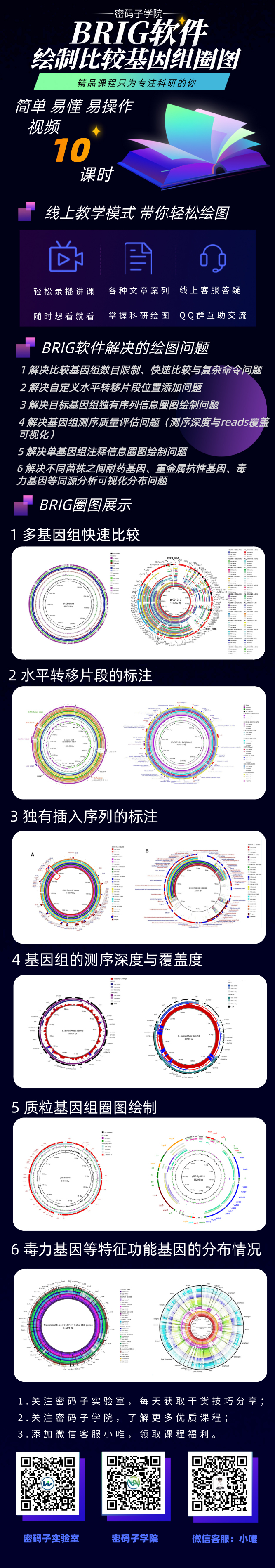 课程：比较基因组圈图绘制软件BRIG(图1)
