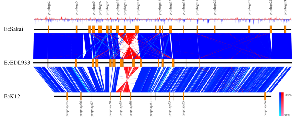 【课程】基因组结构分析神器Easyfig实操精品课(图3)