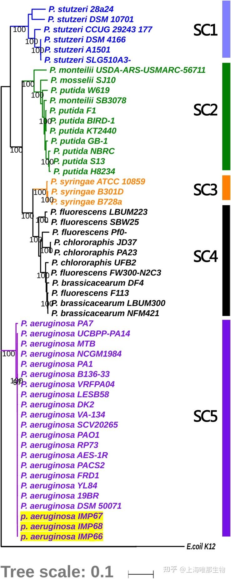 基因组测序在细菌基因组中的应用（一）(图3)